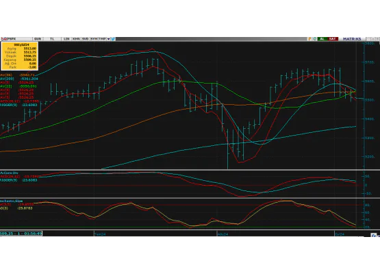 S&P 500